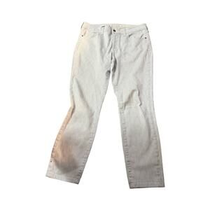 Anthropologie Pilcro Striped Denim High-Rise Skinny  Jeans Women’s 32"